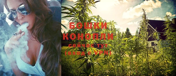 экстази Кедровый