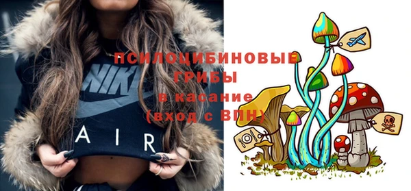 спайс Козельск