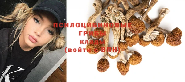 спайс Кинешма